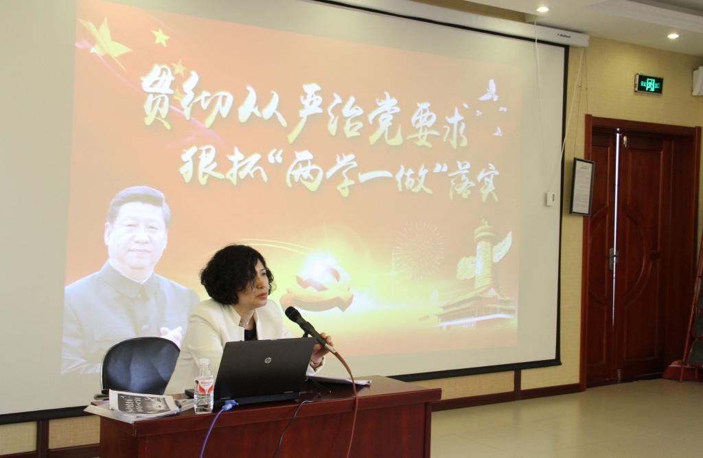 美术与设计学院院长葛淑君做讲座